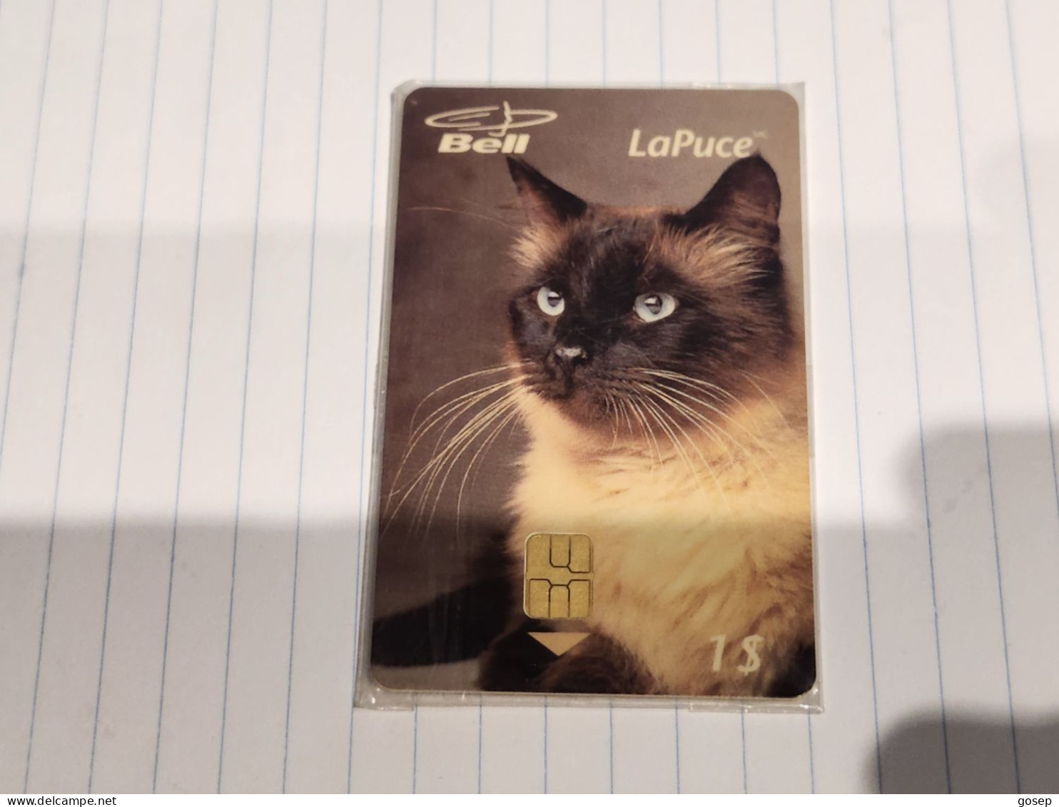 CANADA-(B10116)-Siamese Cat-(22)-(1$)-(8/2008)-(tirage-2.050)-mint Card+2card Prepiad Free - Kanada