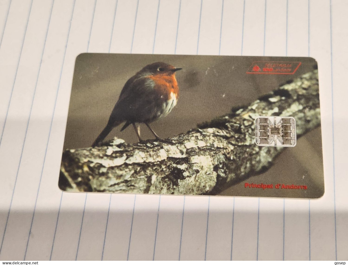 ANDORRA-(AD-STA-0053)-Túrdids-Pit Roig-(Erithacus Rubecula)(1)(100units)(C64159675)(6/96)(tirage-15.000)used Card+1card - Andorra