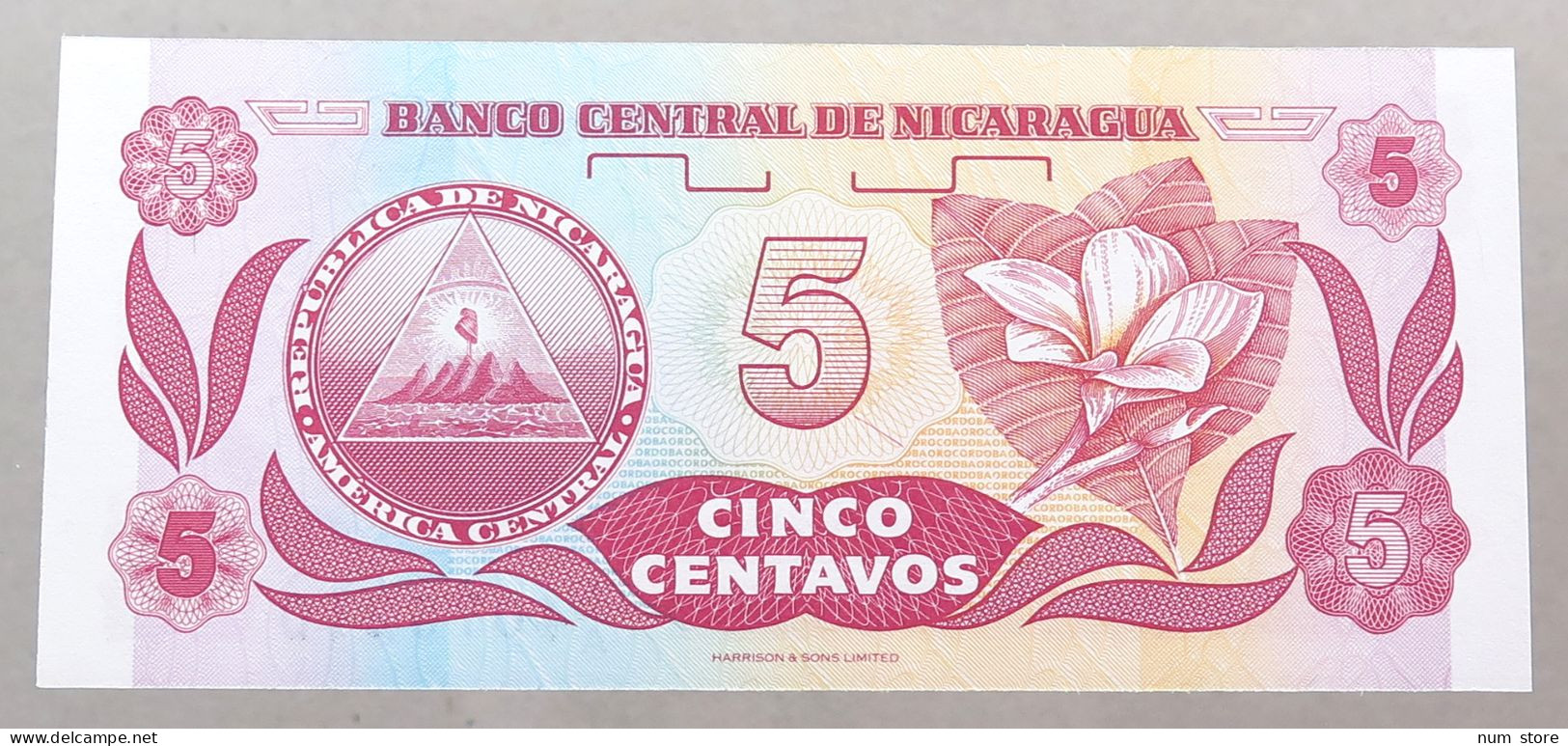 NICARAGUA 5 CENTAVOS 1991 TOP #alb049 1245 - Nicaragua