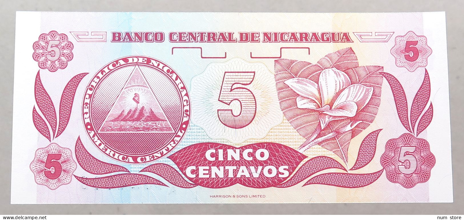 NICARAGUA 5 CENTAVOS 1991 TOP #alb049 1209 - Nicaragua