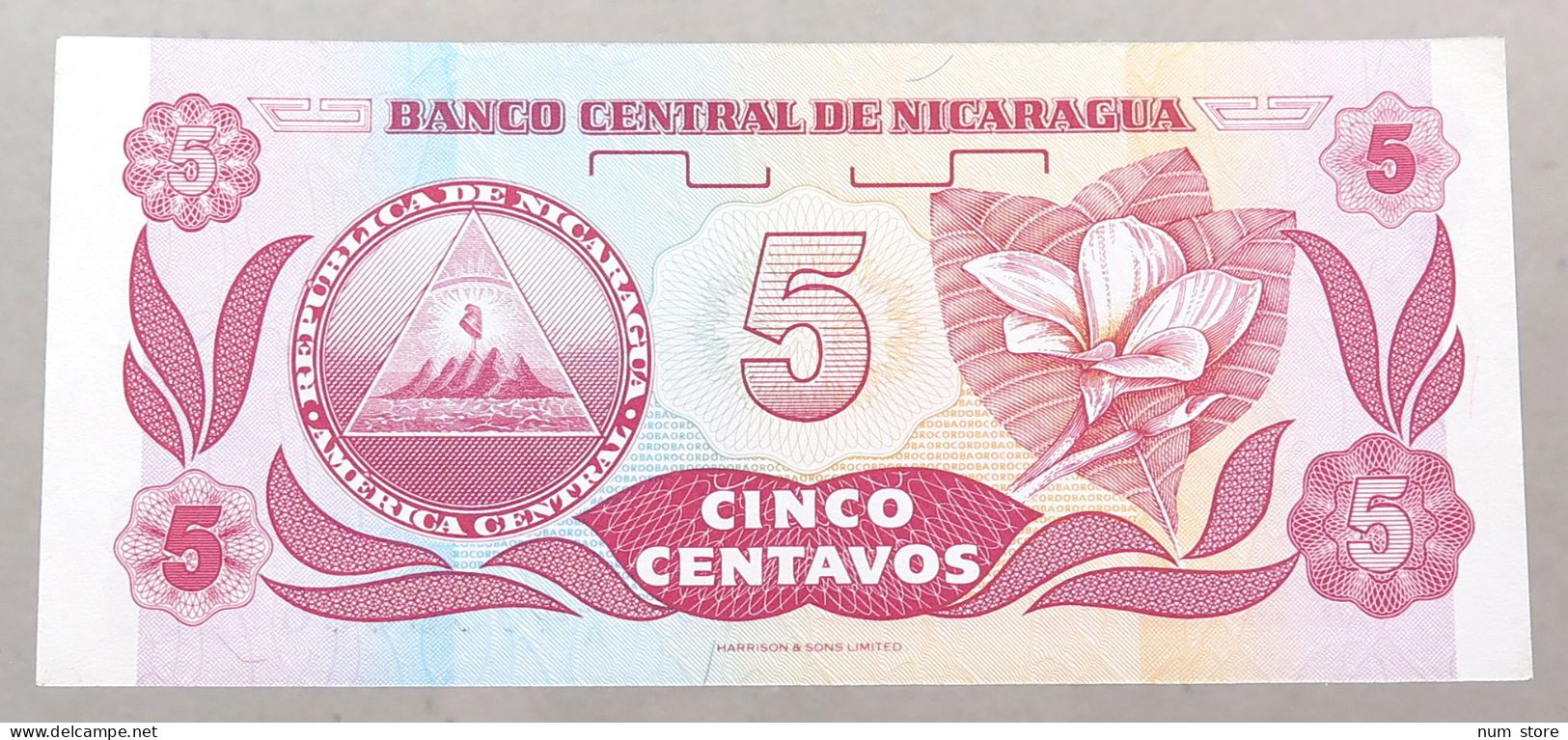 NICARAGUA 5 CENTAVOS 1991 TOP #alb049 1239 - Nicaragua