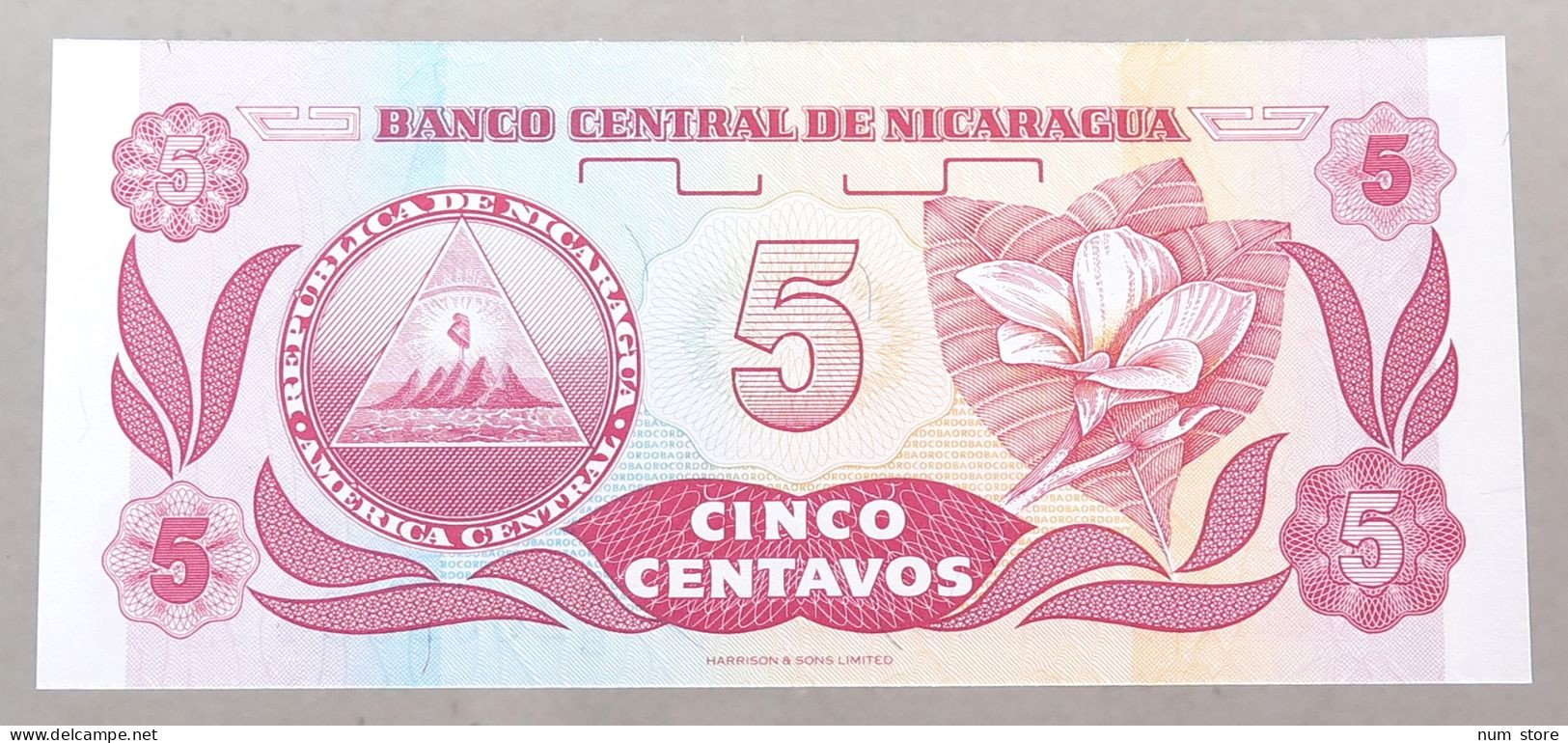 NICARAGUA 5 CENTAVOS 1991 TOP #alb049 1231 - Nicaragua