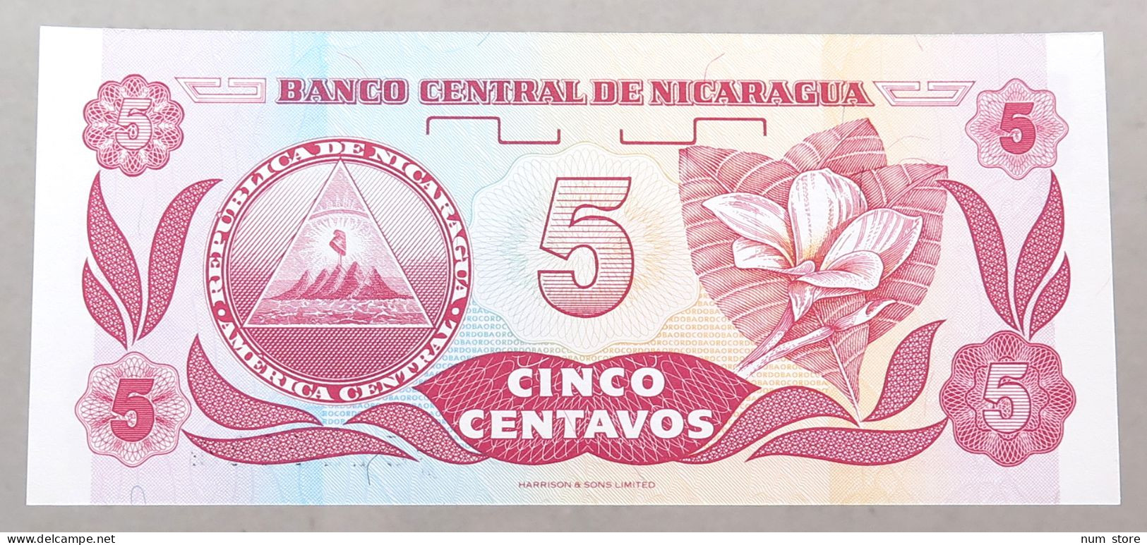 NICARAGUA 5 CENTAVOS 1991 TOP #alb049 1233 - Nicaragua