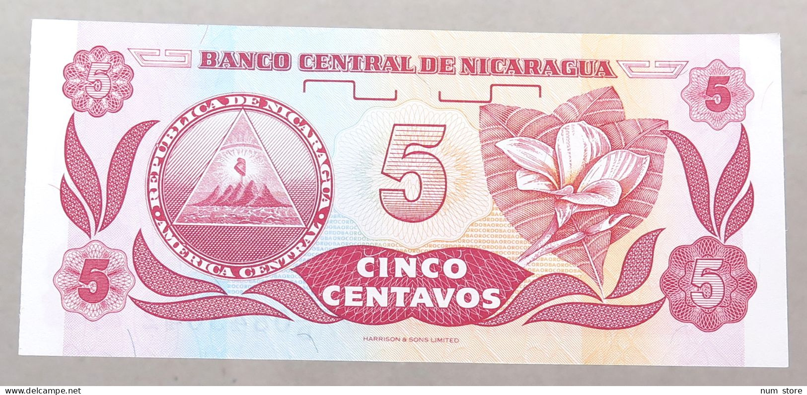 NICARAGUA 5 CENTAVOS 1991 TOP #alb049 1237 - Nicaragua
