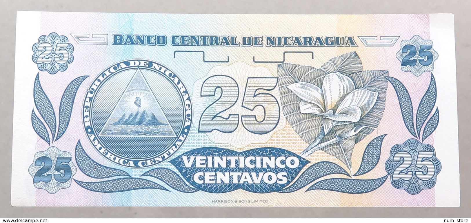 NICARAGUA 25 CENTAVOS 1991 TOP #alb049 1261 - Nicaragua