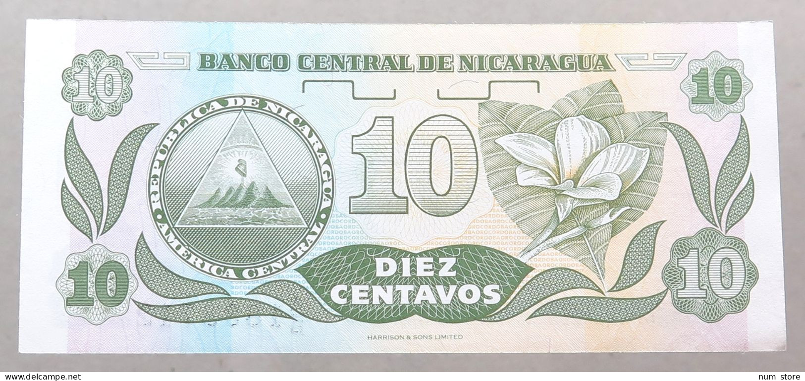 NICARAGUA 10 CENTAVOS 1991 TOP #alb049 1251 - Nicaragua