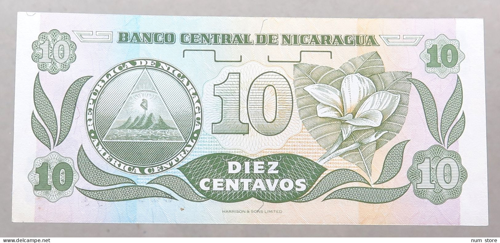 NICARAGUA 10 CENTAVOS 1991 TOP #alb049 1253 - Nicaragua