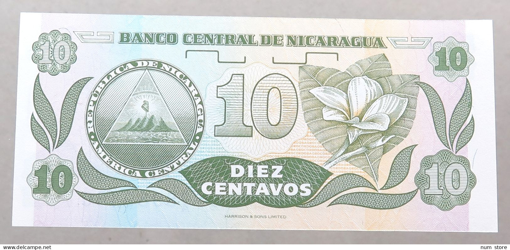 NICARAGUA 10 CENTAVOS 1991 TOP #alb049 1249 - Nicaragua