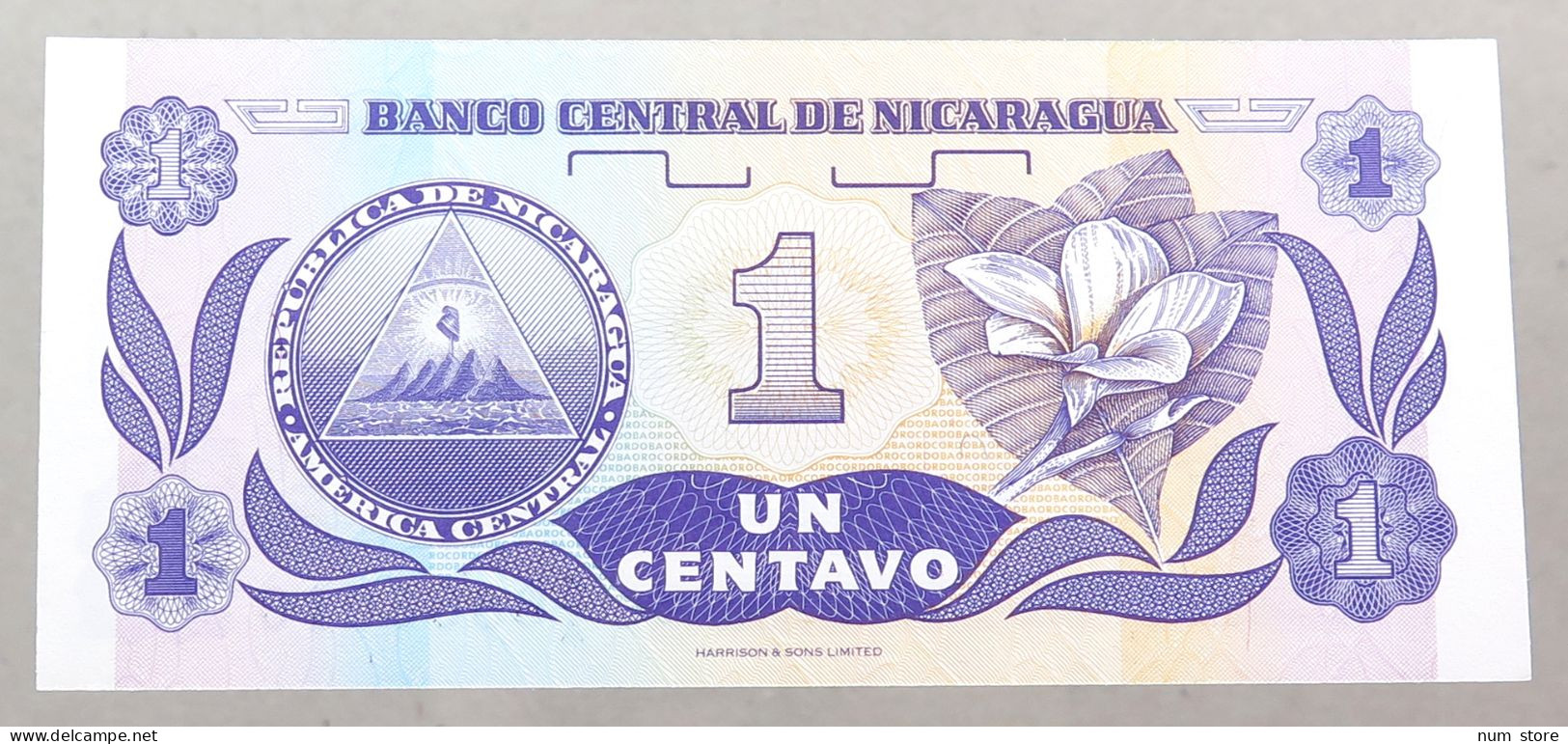 NICARAGUA 1 CENTAVO 1991 TOP #alb049 1221 - Nicaragua