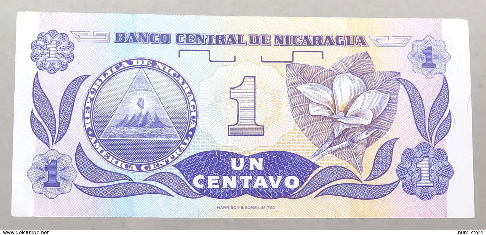 NICARAGUA 1 CENTAVO 1991 TOP #alb049 1225 - Nicaragua