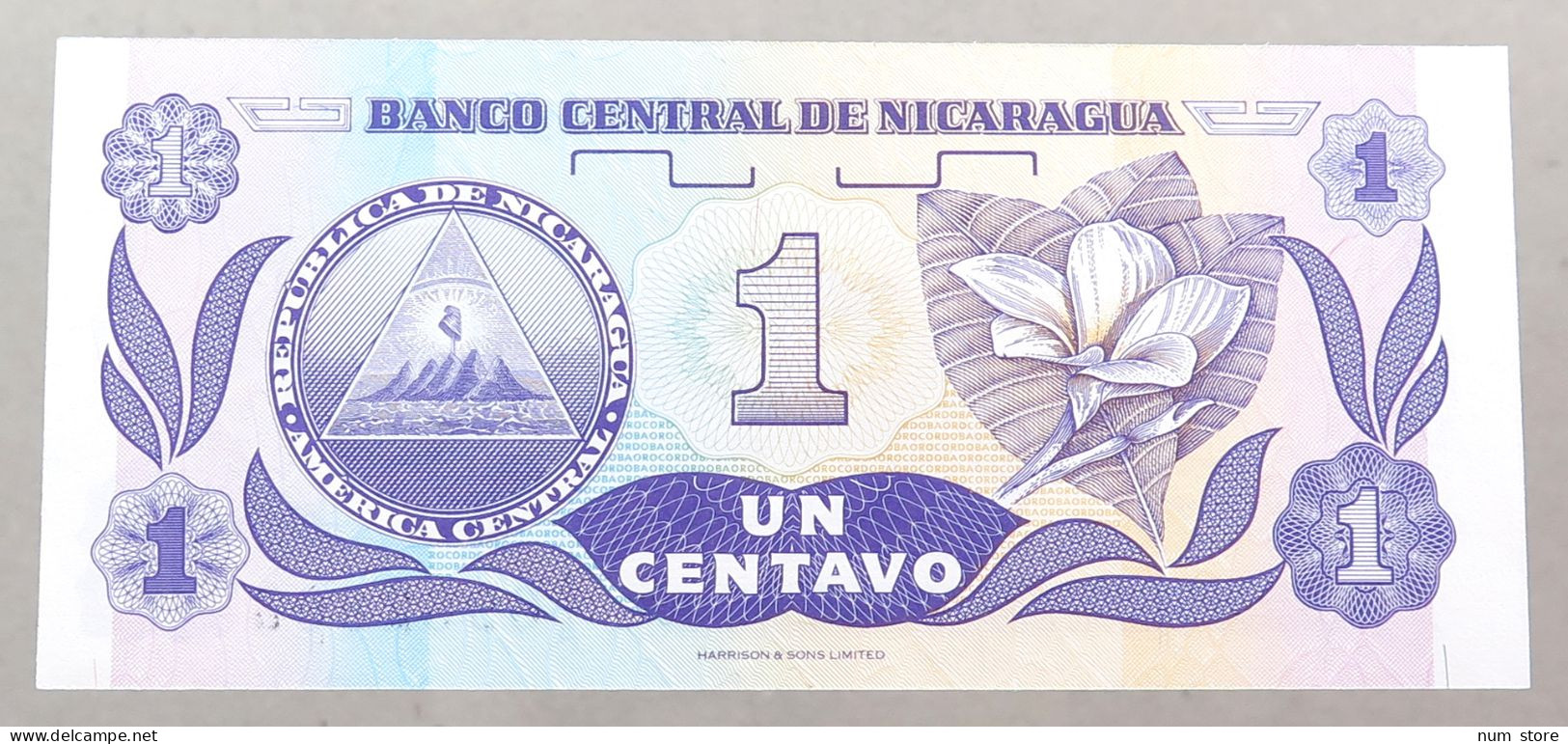 NICARAGUA 1 CENTAVO 1991 TOP #alb049 1217 - Nicaragua