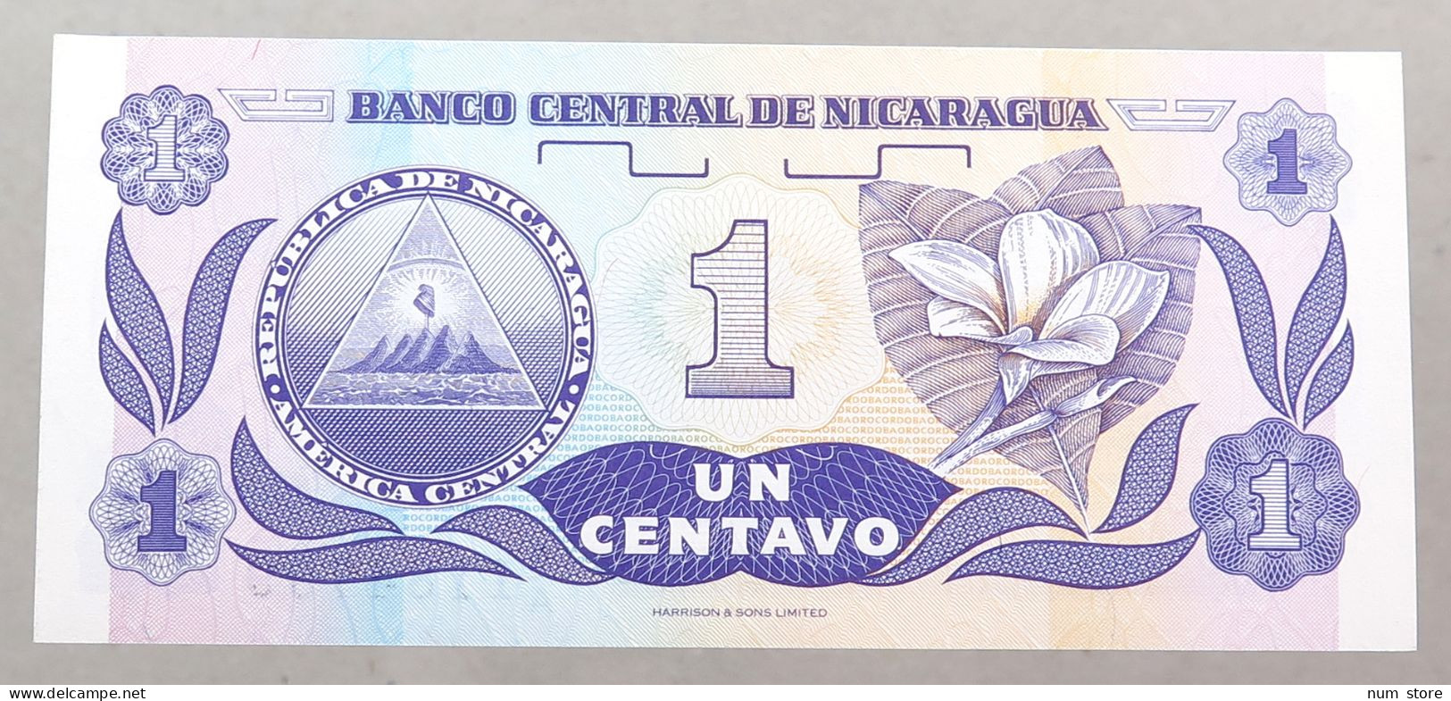 NICARAGUA 1 CENTAVO 1991 TOP #alb049 1215 - Nicaragua