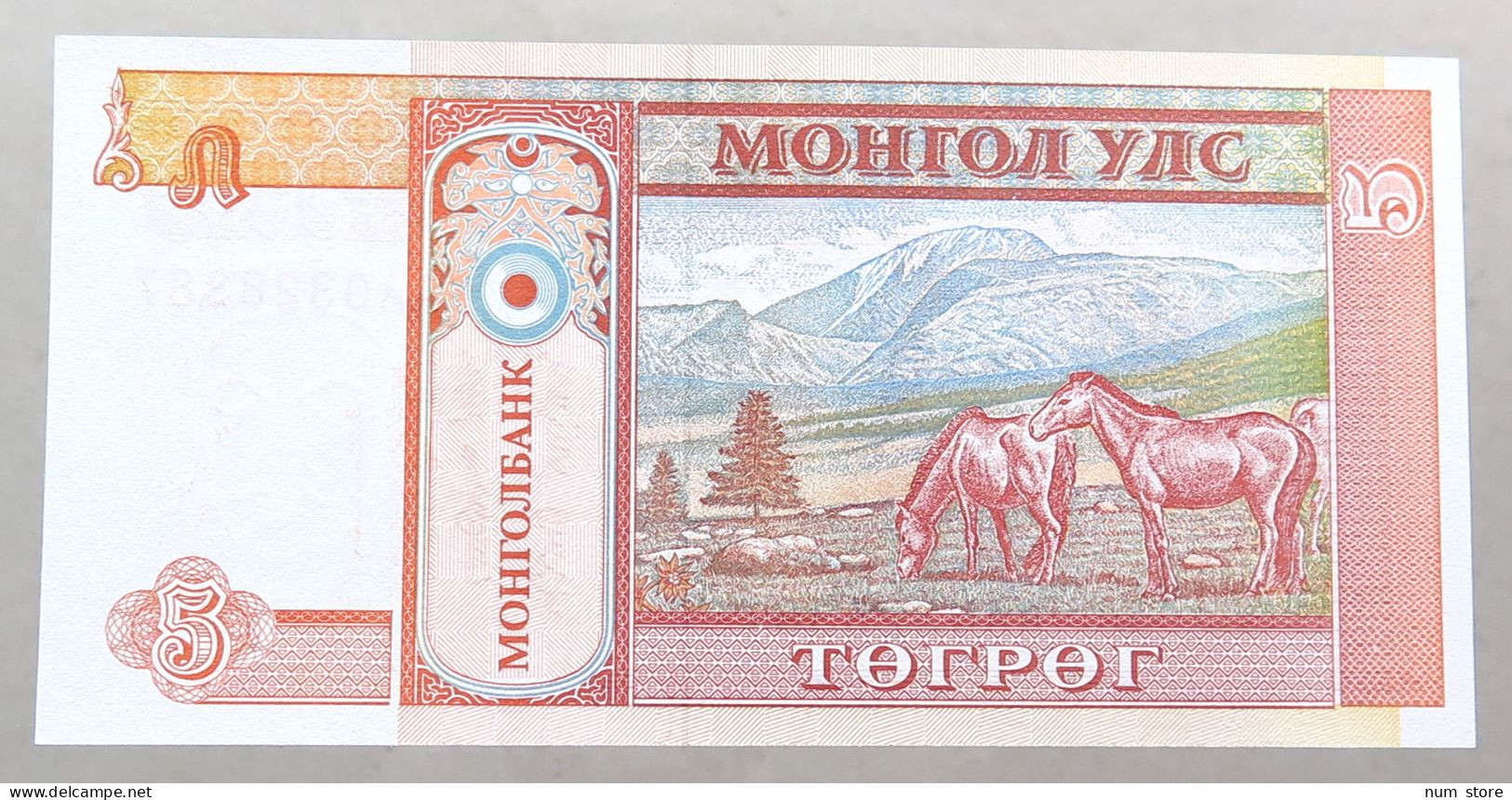 MONGOLIA 5 TUGRIK 2008 TOP #alb051 1005 - Mongolie
