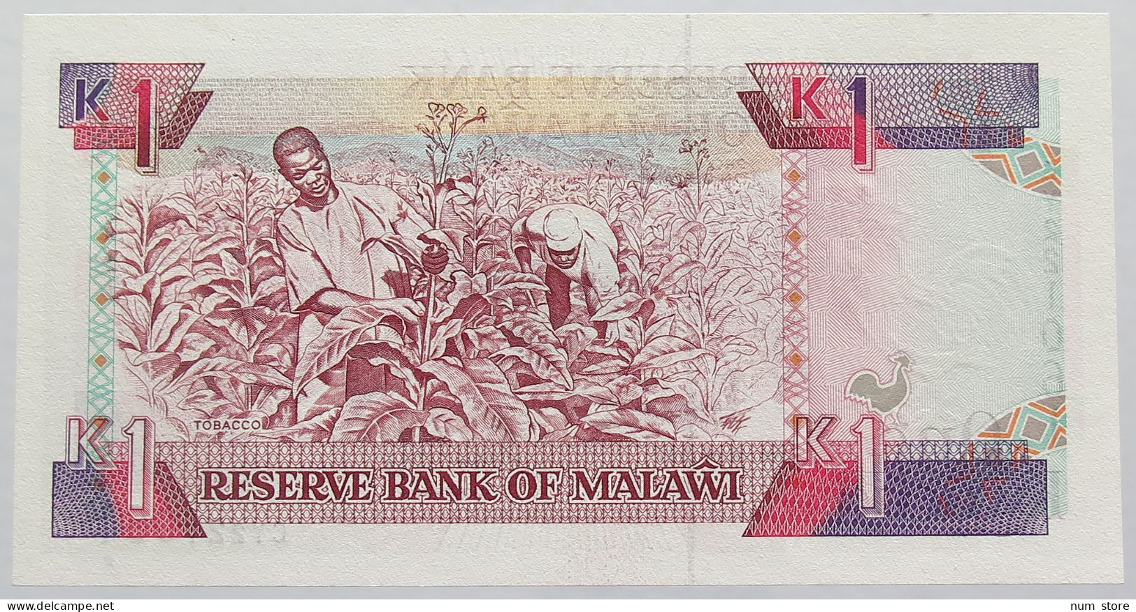 MALAWI 1 KWACHA 1992 TOP #alb016 0463 - Malawi