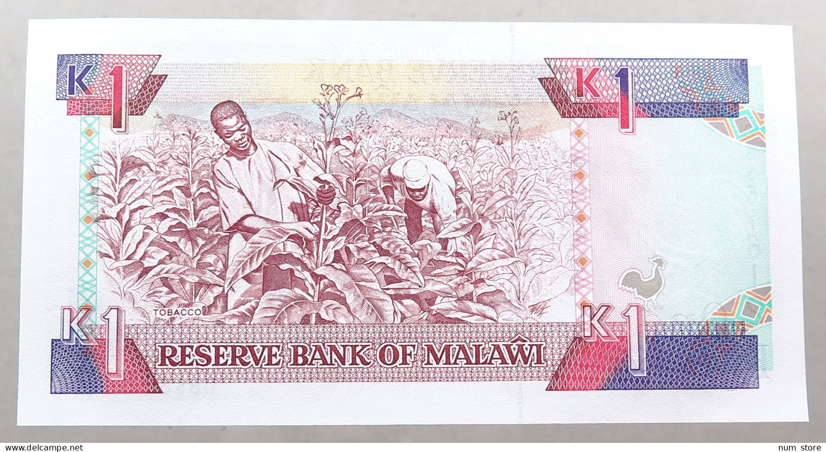 MALAWI 1 KWACHA 1992 TOP #alb051 1721 - Malawi