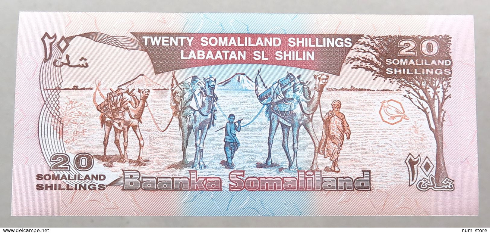SOMALIA 20 SHILLINGS 1996 TOP #alb049 1539 - Somalie