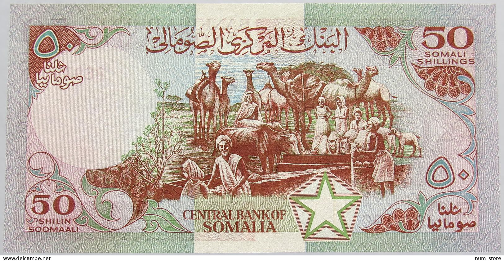 SOMALIA 50 SHILLINGS 1982 UNC #alb018 0213 - Somalië