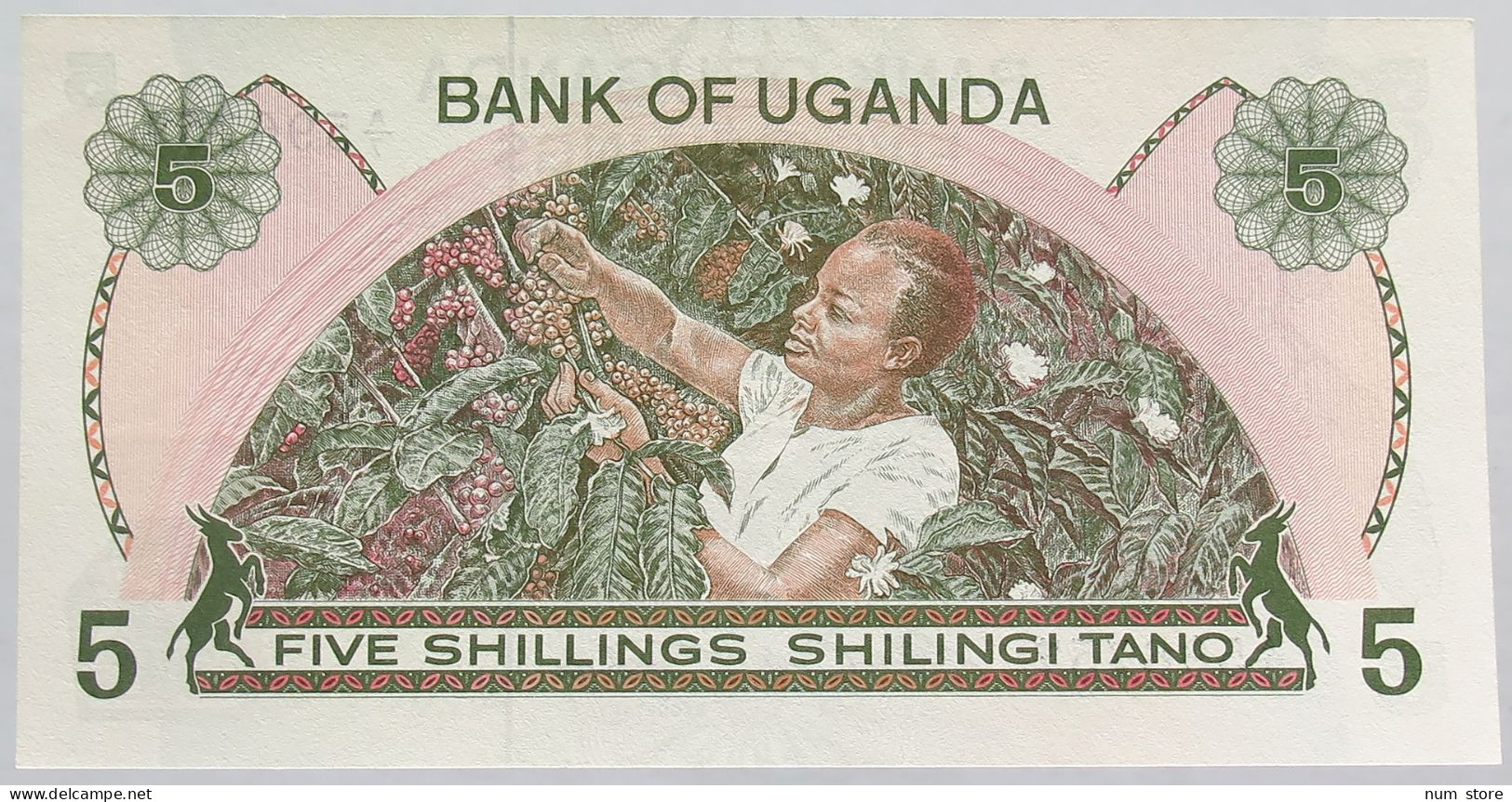 UGANDA 5 SHILLINGS 1982 TOP #alb016 0439 - Ouganda