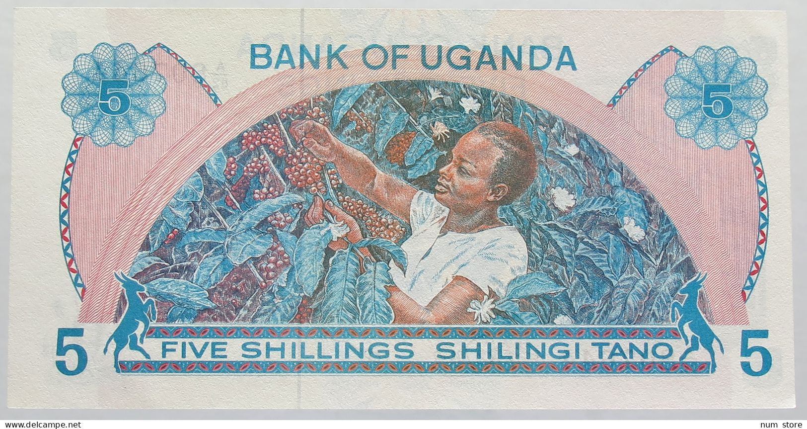 UGANDA 5 SHILLINGS TOP #alb017 0077 - Uganda