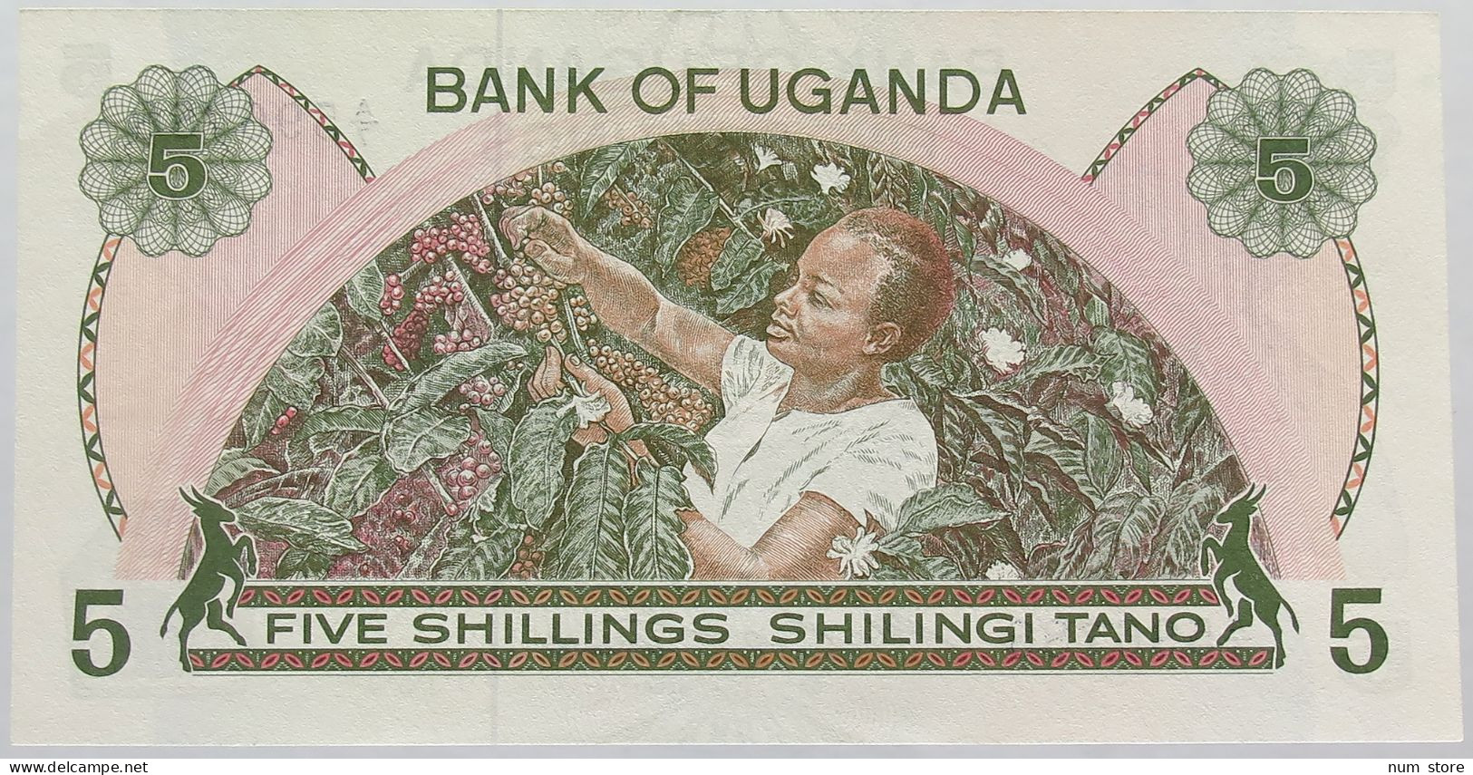 UGANDA 5 SHILLINGS TOP #alb017 0131 - Uganda