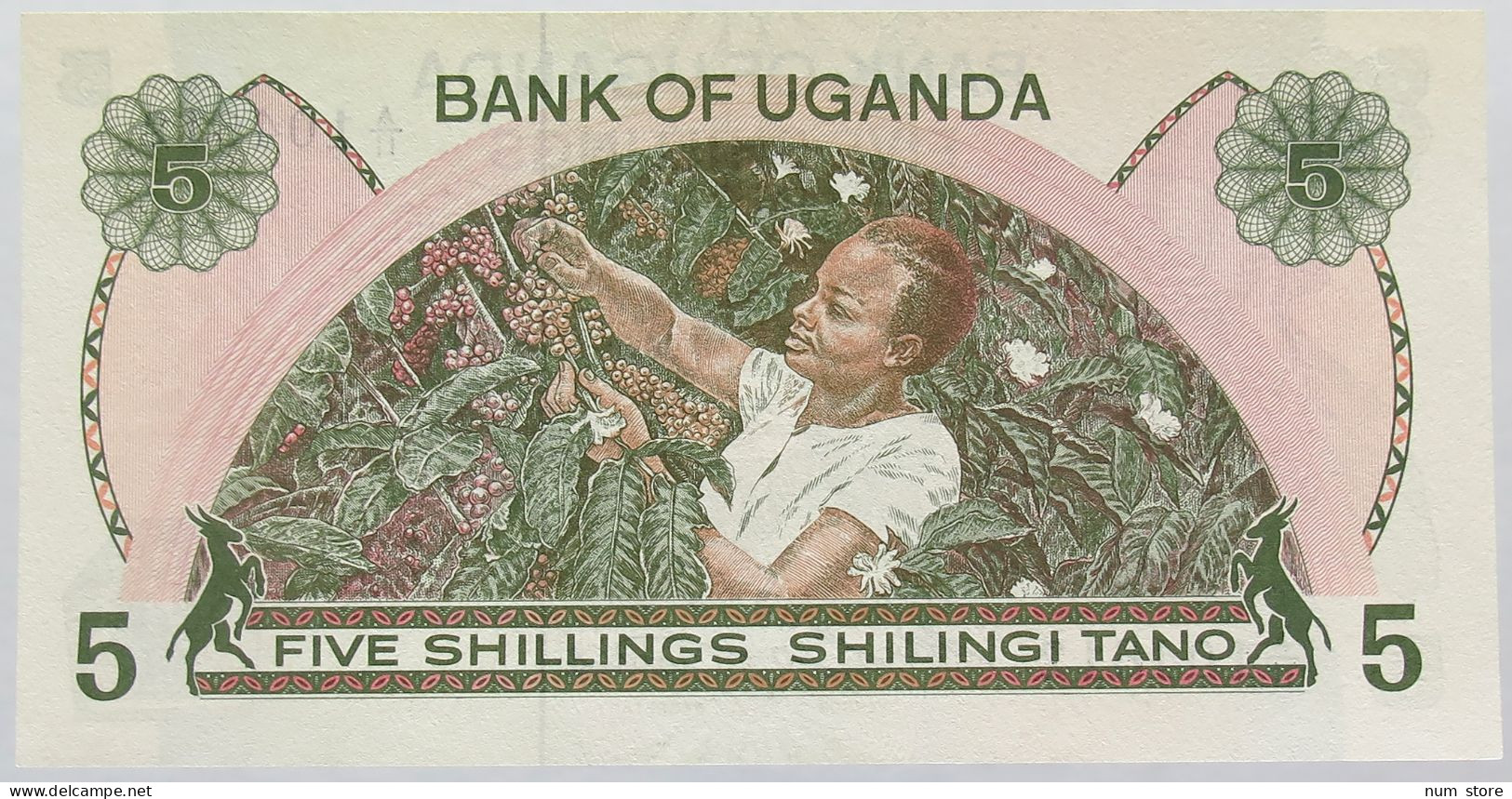 UGANDA 5 SHILLINGS 1982 TOP #alb016 0139 - Oeganda