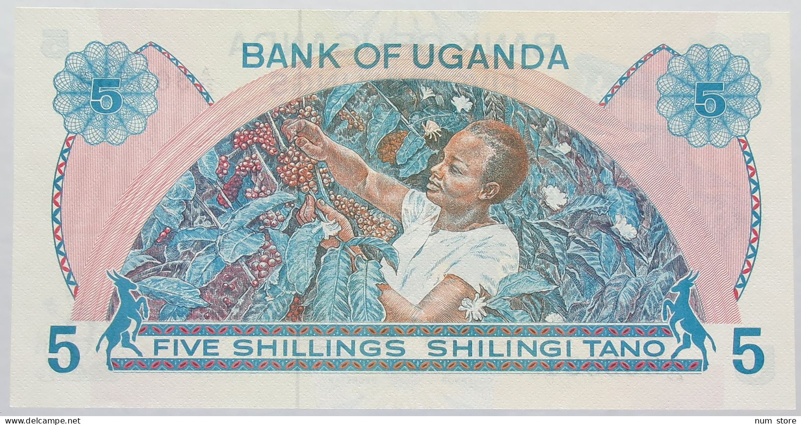 UGANDA 5 SHILLINGS 1977 TOP #alb016 0121 - Uganda