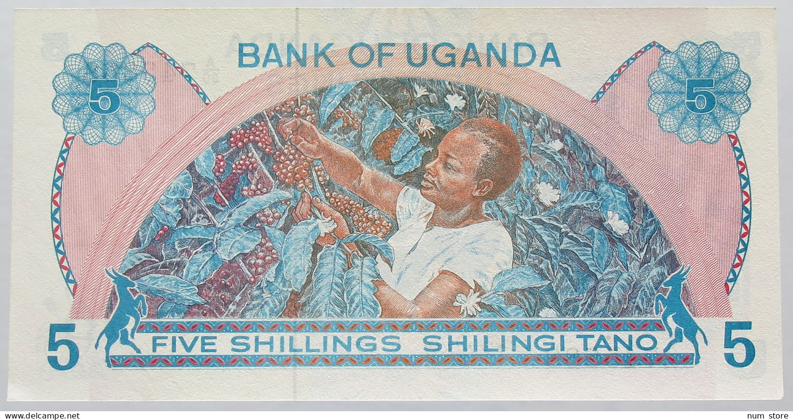 UGANDA 5 SHILLINGS 1982 TOP #alb016 0137 - Ouganda