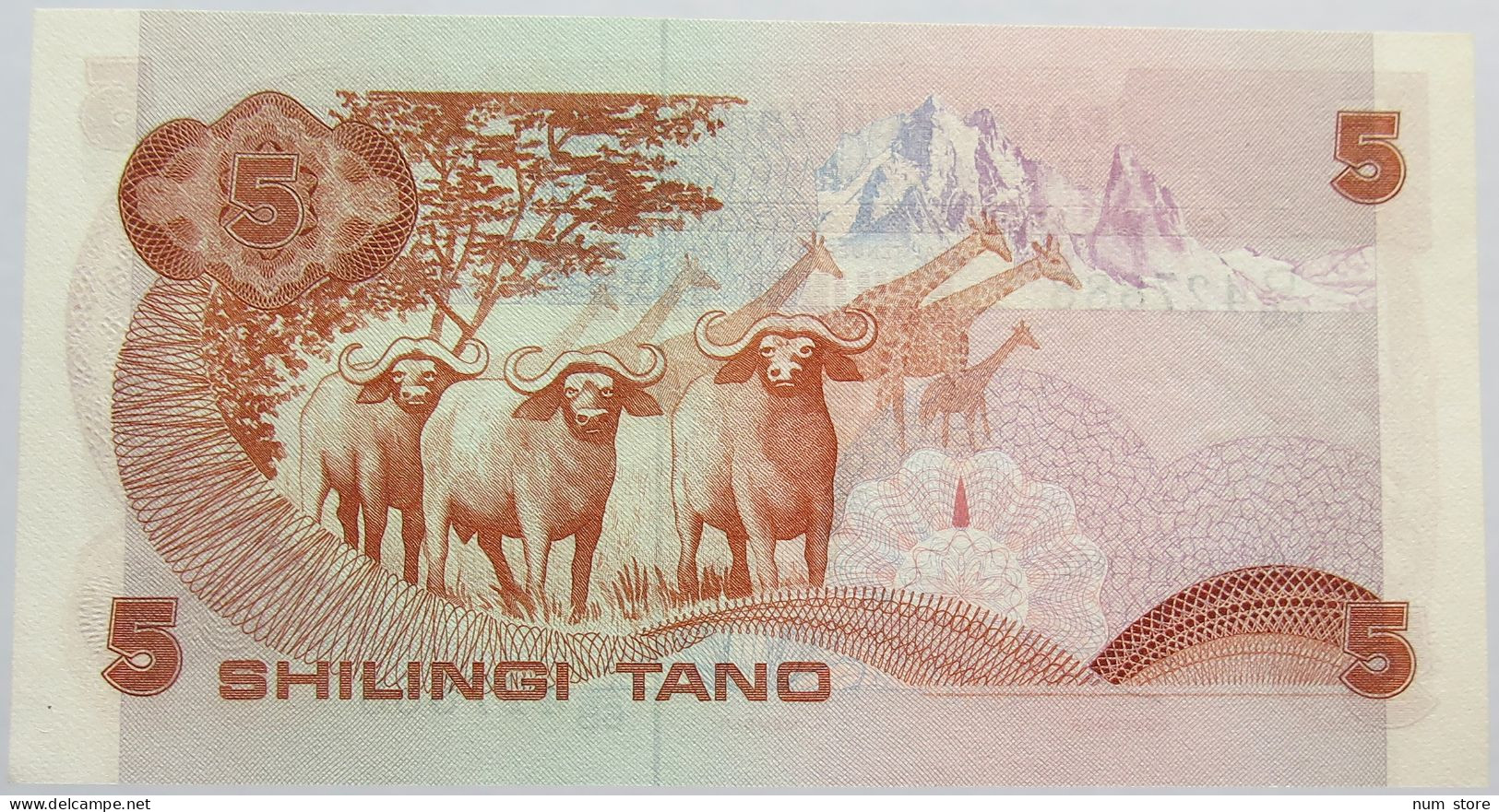 UGANDA 5 SHILLINGS 1982 #alb013 0233 - Uganda