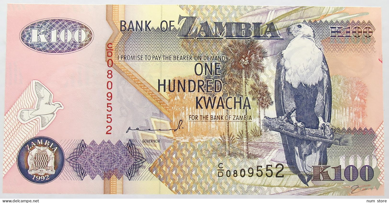 ZAMBIA 100 KWACHA 1992 TOP #alb016 0321 - Zambie