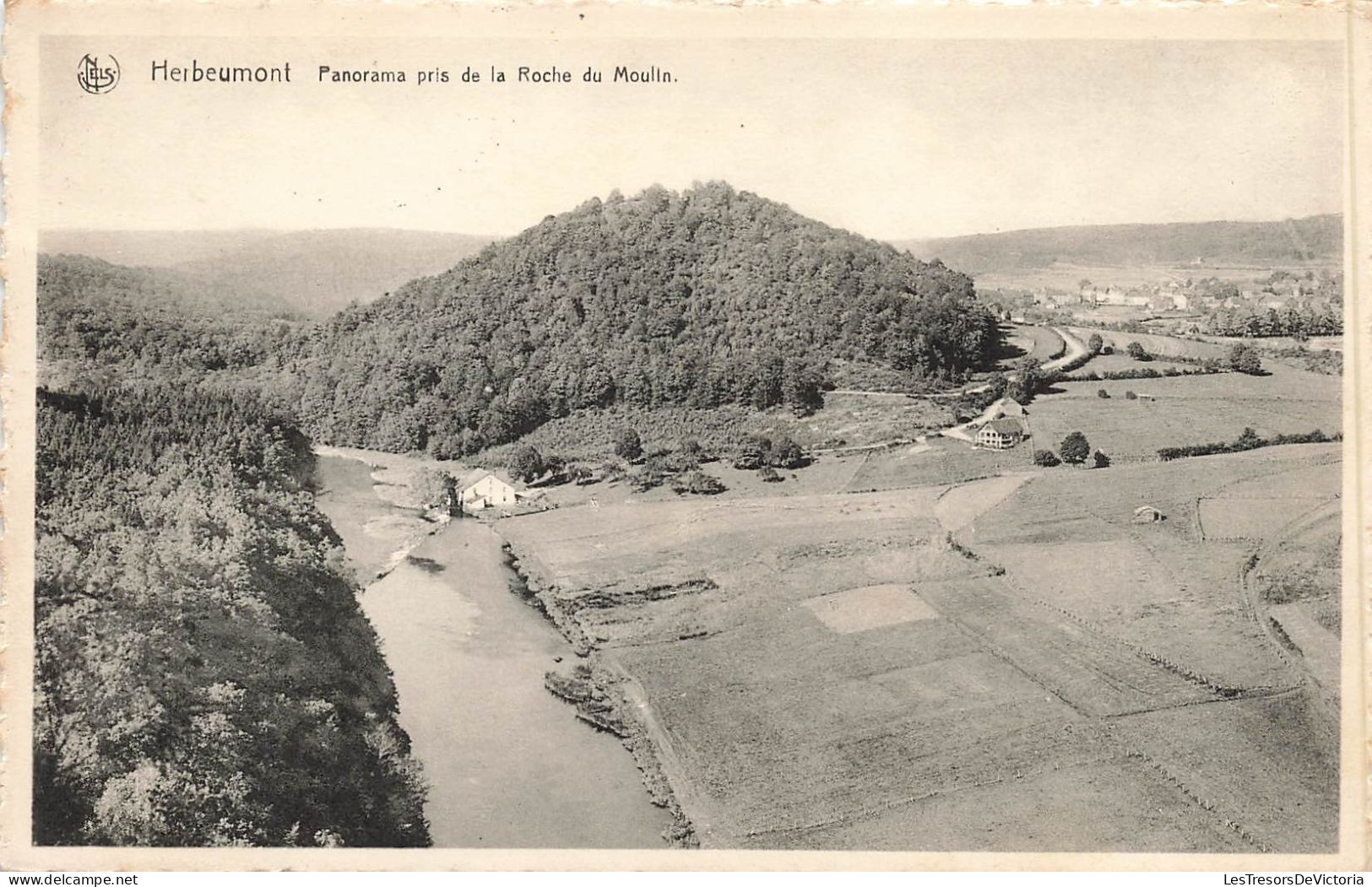 BELGIQUE - Herbeumont - Panorama Pris De La Roche Du Moulin - Carte Postale Ancienne - Herbeumont