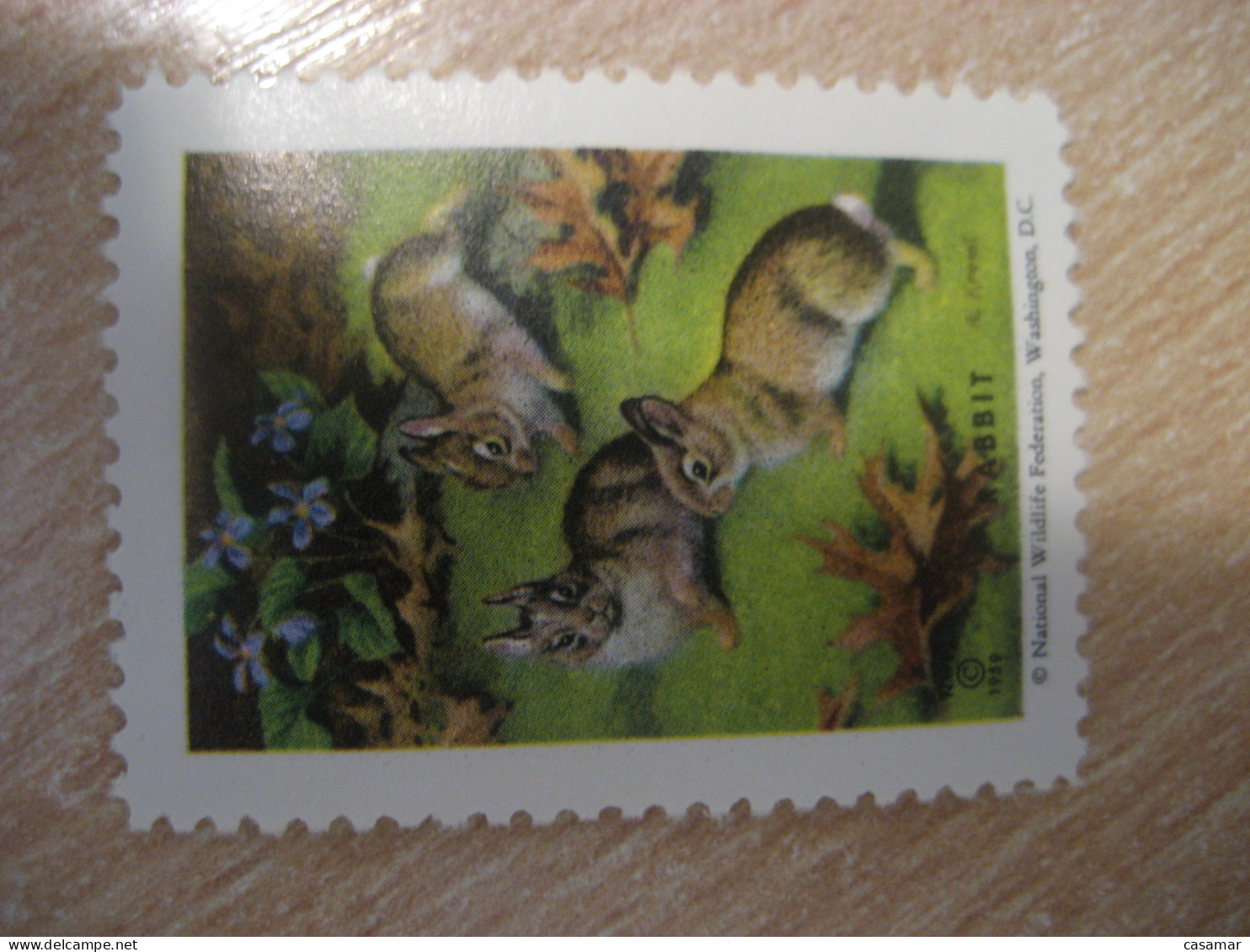 WASHINGTON 1959 Rabbit Lapin National Wildlife Federation Poster Stamp Vignette USA Label - Lapins