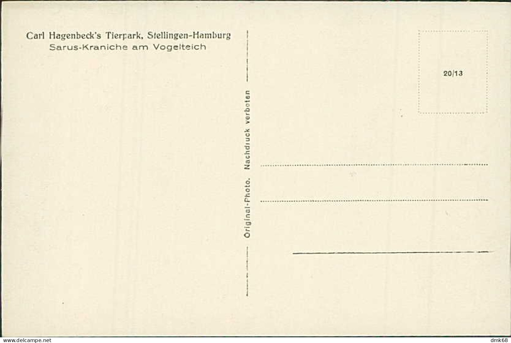 HAMBURG / STELLINGEN - CARL HAGENBECK'S TIERPARK - SARUS KRANICHE AM VOGELTEICH - 1930s (16876) - Stellingen