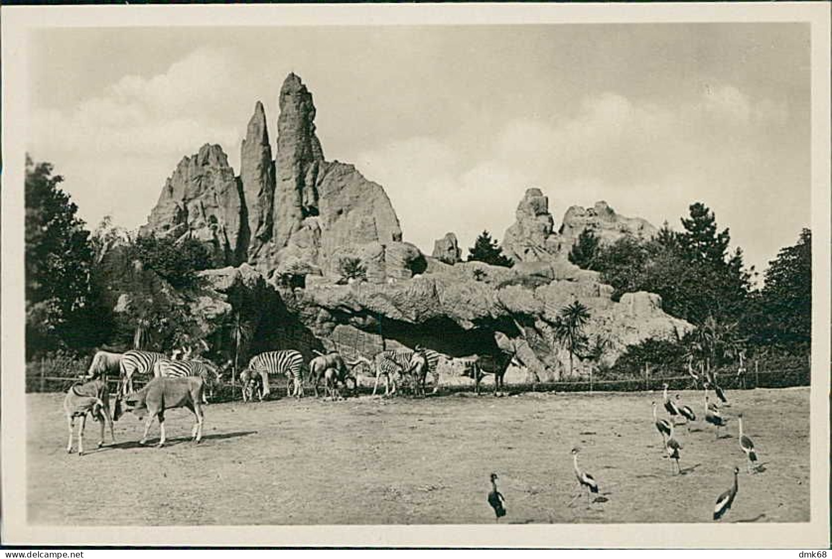 HAMBURG / STELLINGEN - CARL HAGENBECK'S TIERPARK - AFRICANISCHE STEPPE ANTILOPEN ZEBRAS UND KRONENKRANICHE 1930s (16877) - Stellingen