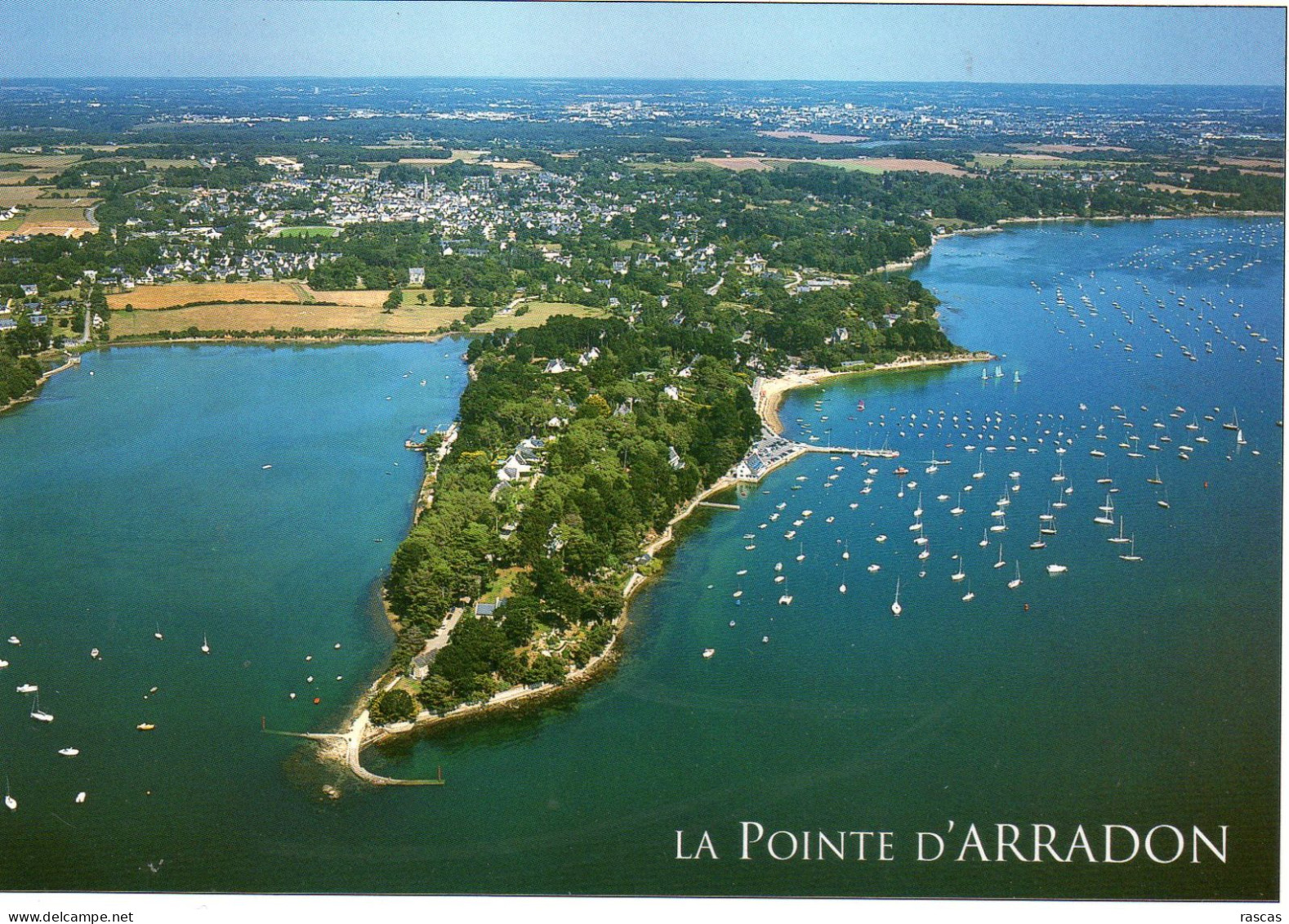 CPM - G - MORBIHAN - ARRADON - LA POINTE D'ARRADON - QUARTIER RESIDENTIEL ENTRE EAU ET VERDURE - Arradon