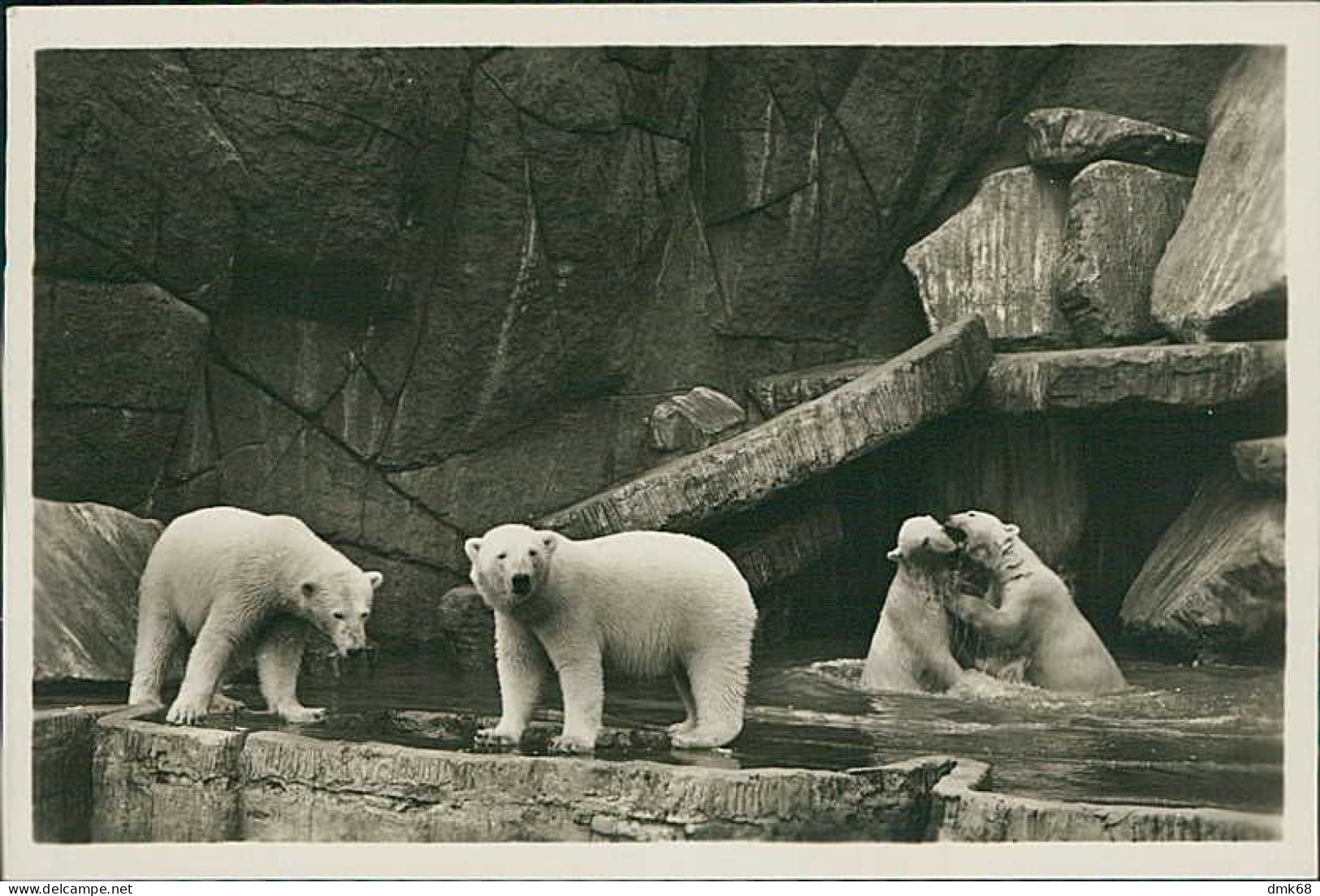 HAMBURG / STELLINGEN - CARL HAGENBECK'S TIERPARK - NORDLAND PANORAMA - EISBÄREN / POLAR BEARS -  1930s (16885) - Stellingen