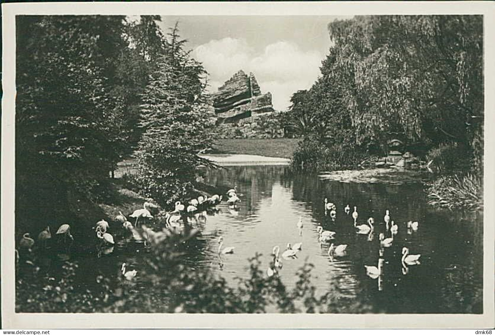 HAMBURG / STELLINGEN - CARL HAGENBECK'S TIERPARK - FLAMINGOS AUF DEM JAPANISCHEN TEICH IM HINTERGRUND - 1930s (16892) - Stellingen