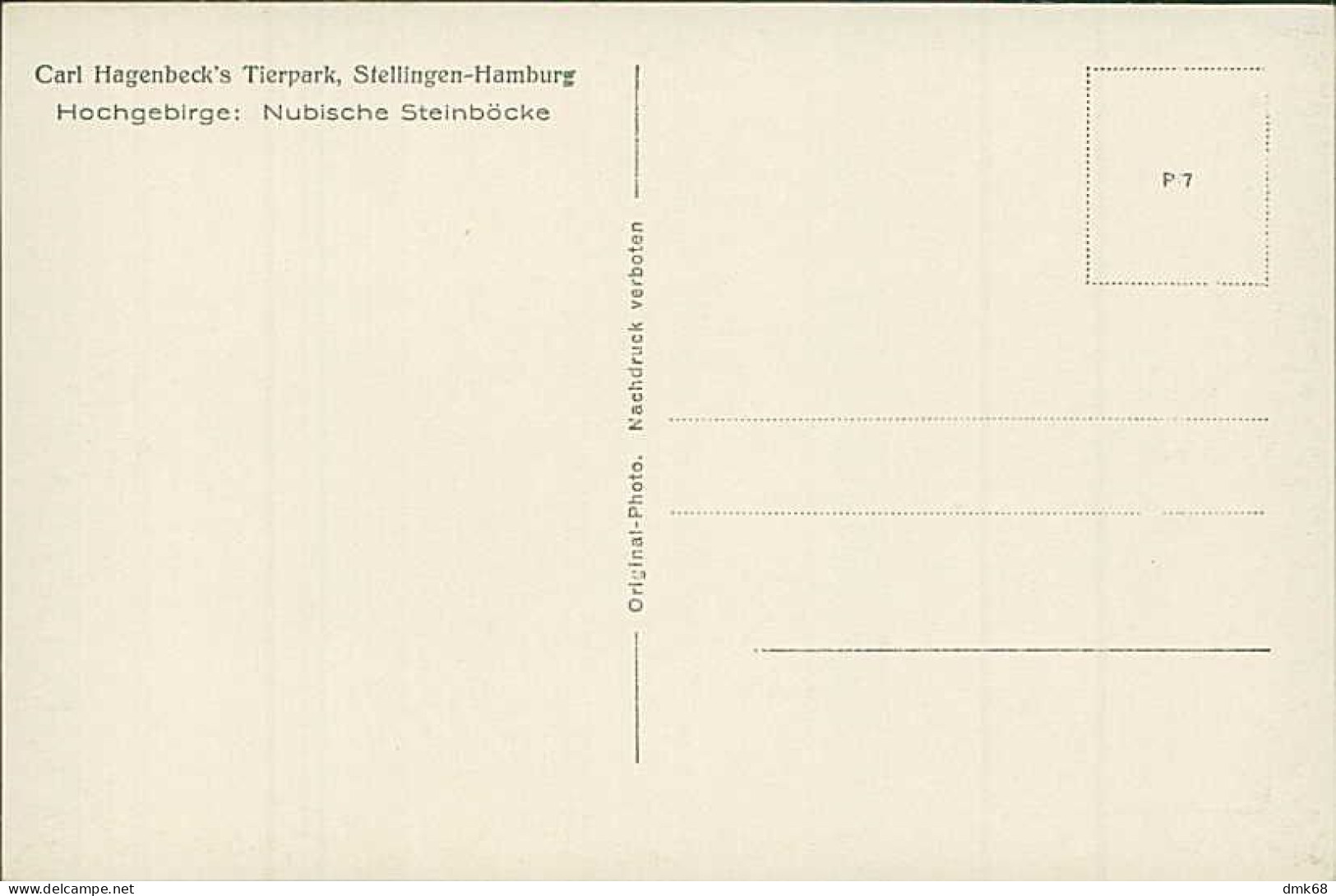 HAMBURG / STELLINGEN - CARL HAGENBECK'S TIERPARK - HOCHGEBIRGE : NUBISCHE STEINBÖCKE - 1930s (16893) - Stellingen