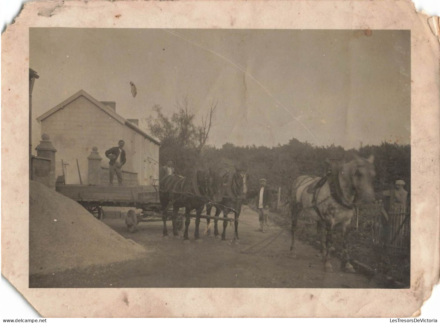 Photographie - Attelage De Chevaux - Trois Hommes - Coins Coupés - Dim: 13/18 Cm - Anonymous Persons