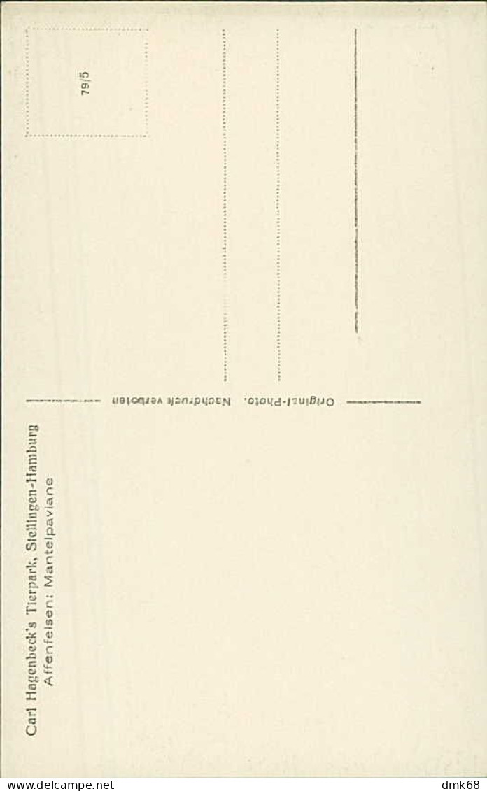 HAMBURG / STELLINGEN - CARL HAGENBECK'S TIERPARK - AFFENFELSEN : MANTELPAVIANE - 1930s (16897) - Stellingen