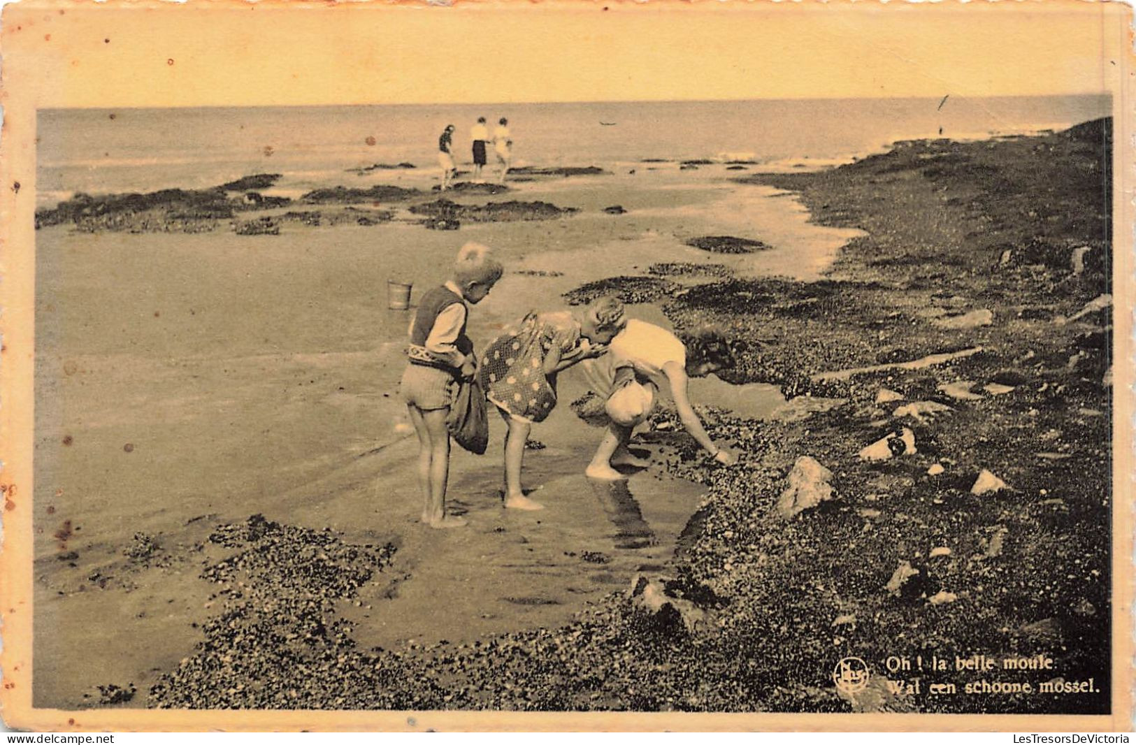 PHOTOGRAPHIE - Des Enfants Ramassant Des Moules à La Plage - Carte Postale Ancienne - Fotografia