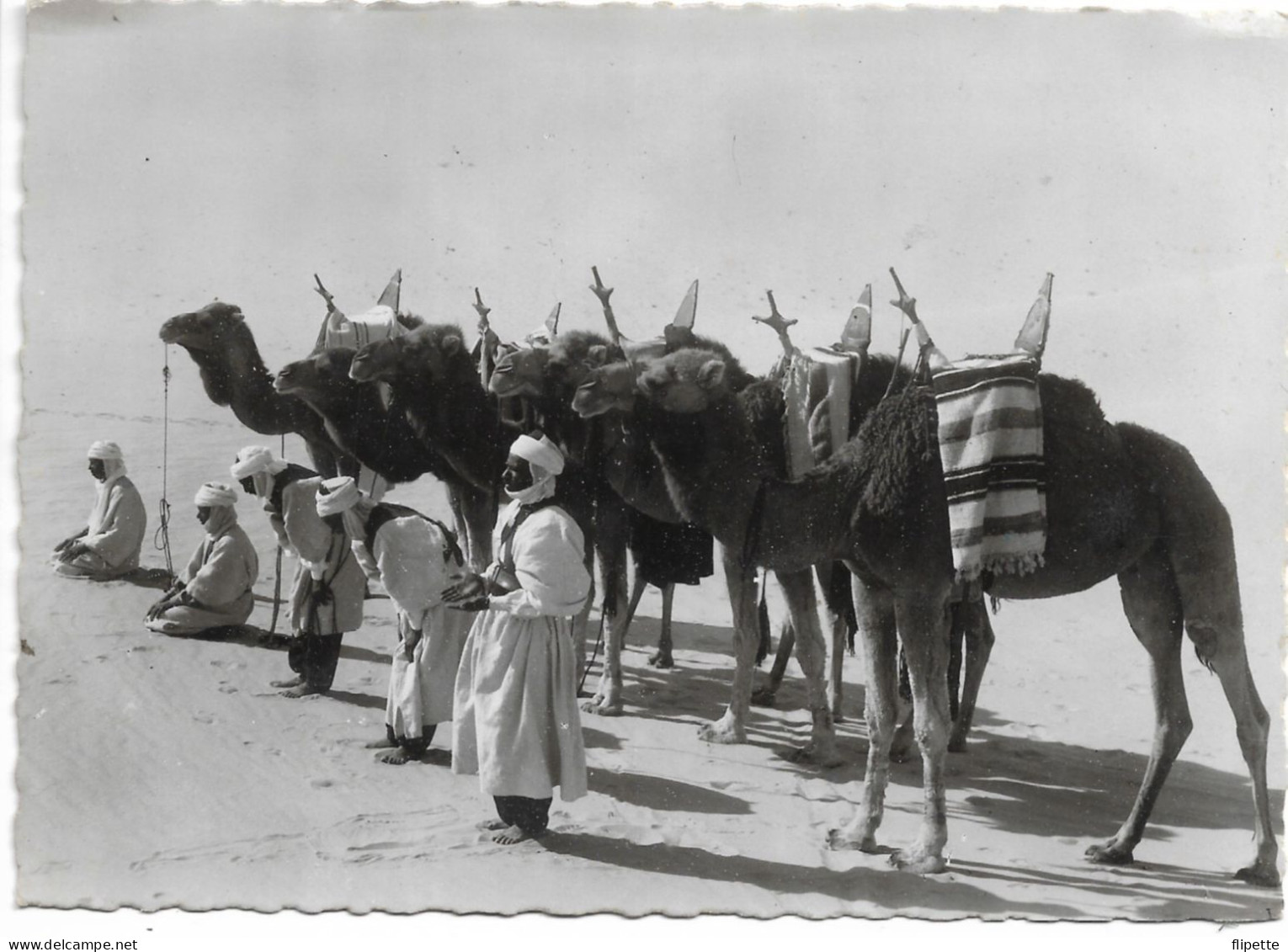 L100N746 - Collection Saharienne - Méhariste En Prière Au Lever Du Jour - La Cigogne N°47 - Westelijke Sahara