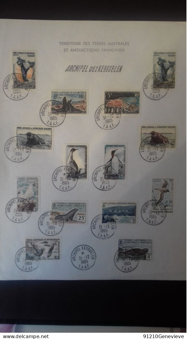 TERRES AUSTRALES ET ANTARTIQUES  (TAAF)  Oblitérés Sur  3 Feuilles  Différentes  (LOT) - Used Stamps