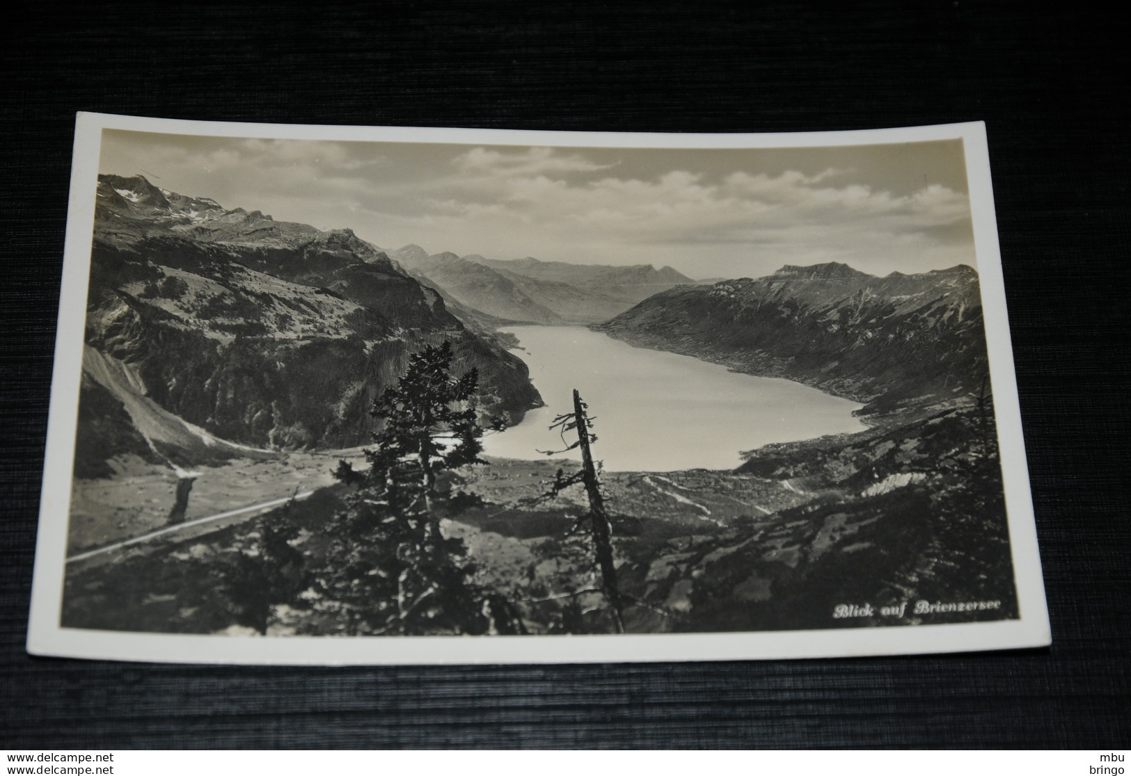 A9109         BLICK AUF BRIENZERSEE - Brienz