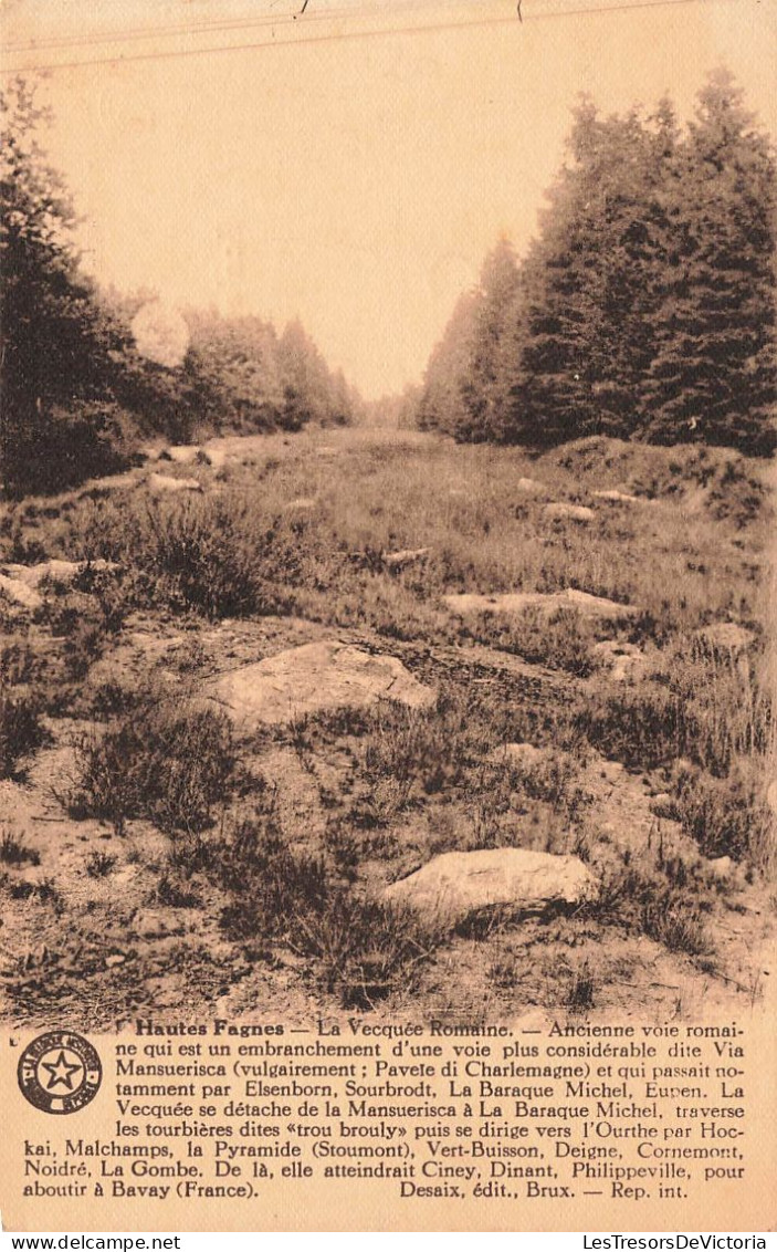 BELGIQUE - Jalhay - Hautes Fagnes - La Vecquée Romaine - Carte Postale Ancienne - Jalhay