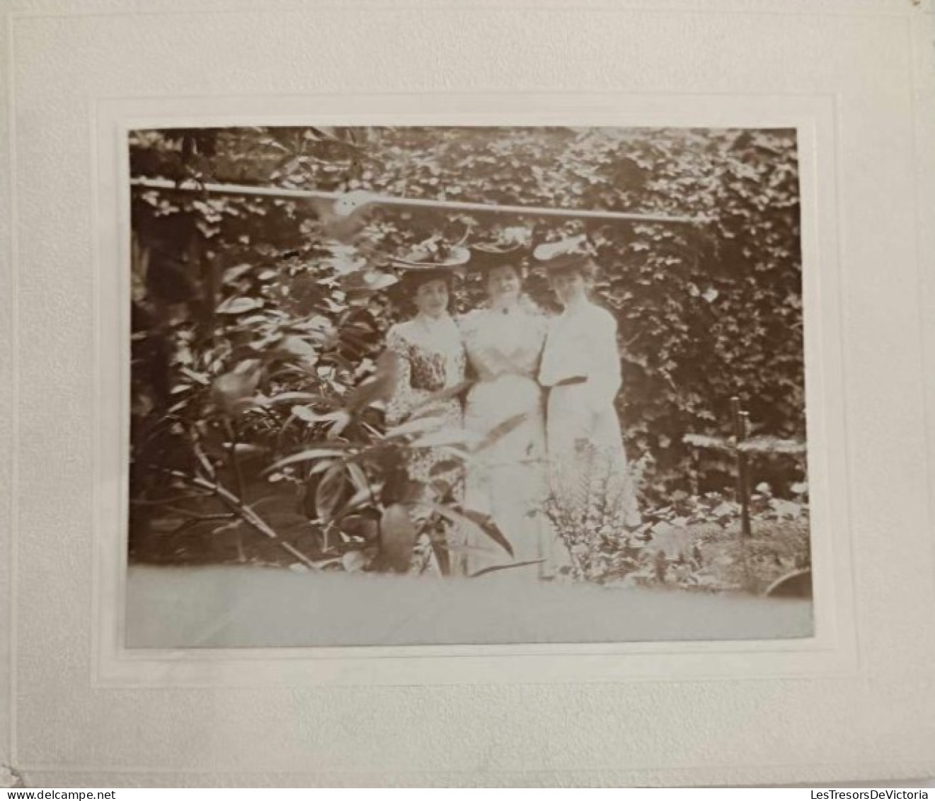 Photographie - Trois Femmes Dans Un Jardin - Collée Sur Carton Dim: 11.5/14.5 Cm - Anonymous Persons