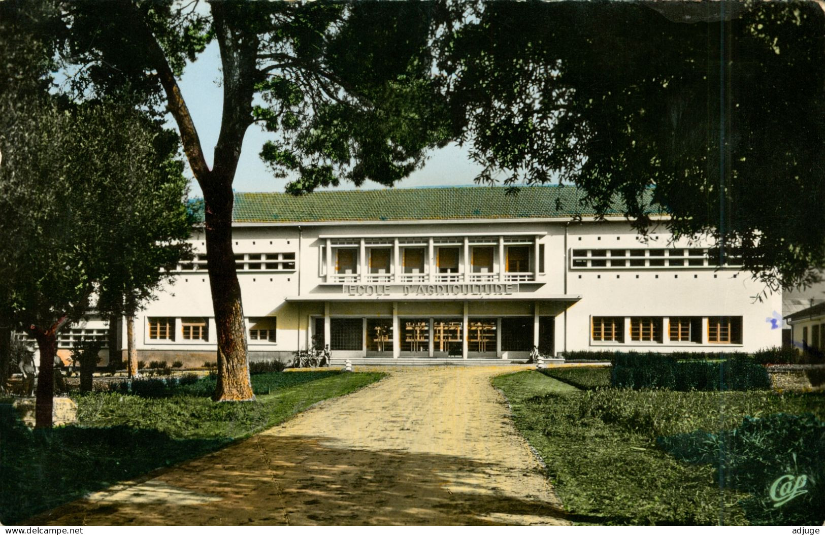 CPSM- Algérie- GUELMA -  L'Ecole D'Agriculture - - J. Magliulo, Architecte* *2 Scans - Guelma