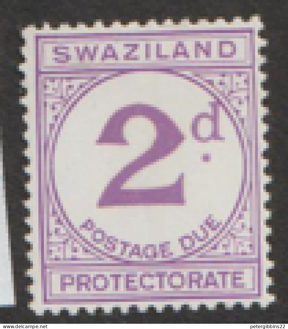 Swaziland   1933  SG D2a 2d  Postage Due  Mounted Mint - Swasiland (...-1967)