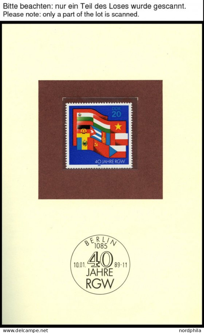 JAHRESZUSAMMENSTELLUNGEN J 6 , 1989, Jahreszusammenstellung, Pracht, Mi. 170.- - Unused Stamps