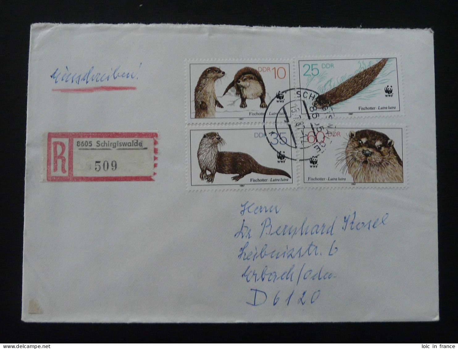 WWF 1987 Lettre Recommandée Registered Cover Einschreiben Brief Schirgiswalde DDR Ref 278 - Storia Postale