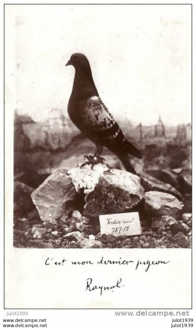 14/18 ... VERDUN ..-- MILITARIA . Dernier Pigeon Du Commandant RAYNAL , Fort De VAUX . 04.06.1916 . - Verdun